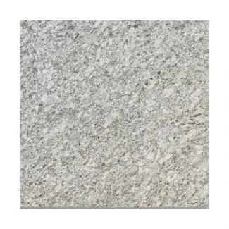 �к�:�ꥯ����(INAX)  �饤�ȥޥۥ��ˡ� SSG-300J/766(24310TMN)