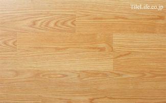 �ե������:���ȥ�ߥ͡��ȥե������ �������� ���� KTO-D639(24391MRD)