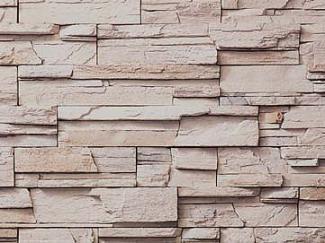 �к�:��¤�к� �ץ��ե��åȥ�å����ȡ��� �������������� �����ʡ�(24445SSY)