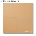 ƥ饳åĴ 300 ̵  (YGF-T3) (24917YGF)