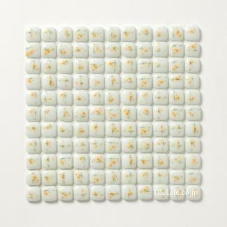 �⥶����������:���饹�⥶���������� �Ѵݷ��� �ۥ磻�ȷ�-2 24.5�� (YGF-T12)  (��1000/�����Ȱʲ�)(24926YGF)