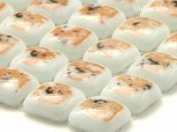 饹⥶ Ѵݷ 󥸷 24.5 (YGF-T14)  (1000/Ȱʲ) (24928YGF)