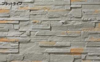 �к�:�����ȷϿ�¤�� ���졼��_������(24940YGF)