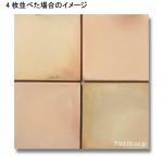 ƥ饳å 300ʿ  (ERM-T50) (25113ERM)