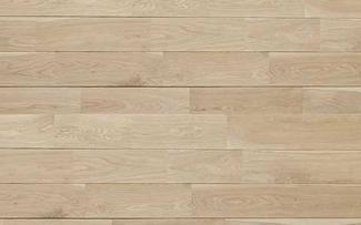 �ե������:������(�ʥ�) ����������ɥ��졼�� ��˥����� ̵����(25164KZS)