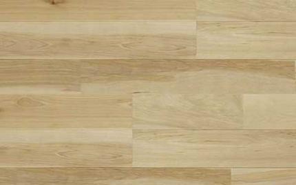 �С���(����) �ʥ����륰�졼�� ���� ��˥����� ̵����(25212KZS)