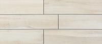 �ꥯ����(INAX) �������� ��������ץ饹 �ץ�᡼�� �⾲������ 800��200��ʿ(�⾲������) IPF-820/PMR-21 (28594LIX)