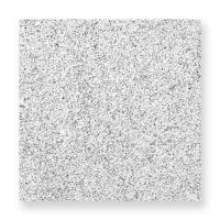  G603 ӥž夲 300 (29218XRO)
