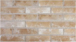 �֥��ɥ�����:�ɥ����� �饹�ƥ������󥷥� 219��55mm�ܡ�����ʿ ��:SRS-104(29803SAN)