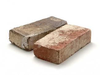 ��󥬡������ǥ˥�:����ƥ��������(������) ����Ը�(29968SJA)