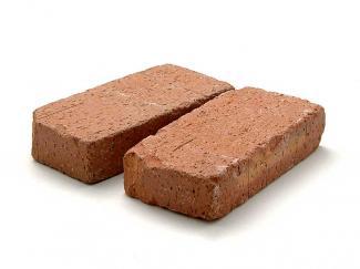 ��󥬡������ǥ˥�:����ƥ�����Ĵ��� �ơ���50�� �ץ��(29984SJA)