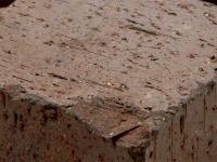 ƥĴ 祳 50 ԥ󥳥(Ⱦޥ) (29995SJA)