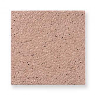 �����Ĵ�������� 200��ʿ ������������ 30051RCA:�����Ĵ�������� 200��ʿ ������������(30051RCA)