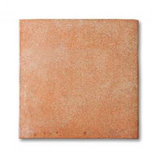 �֥��ɥ�����:�������� �ե����ĥ��ƥ饳�å� ���åȥΡ��ӥ�(�ޥ���ᥤ��) 300��ʿ CN-300_T(30320XIS)