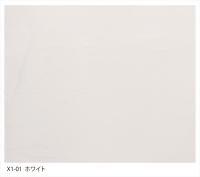 ɤ륿 X-1 ڥۥ磻ȡ 15kg X1-01_T (30406SXE)