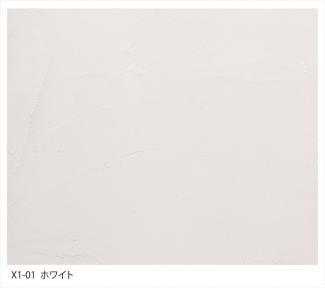 ����¾:�ɤ륿���� X-1 �ڥۥ磻�ȡ� 15kg X1-01_T(30406SXE)
