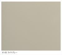 ɤ륿 X-1 ڥ饤ȥ졼 15kg X1-03_T (30408SXE)