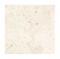 ŷĴ в 300ʿ 1() (31634FGY)
