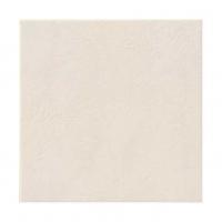 �ʥ�����Ĵ�������� �������ʥ� 300��ʿ 1 (31649FGY)