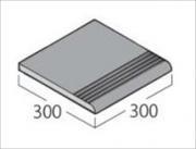 ʪ ʥ 300ѳ 3 (31656FGY)