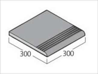 �֥��ɥ�����:��ʪ������ ��饹 300�ѳ��� 33(31729FGY)