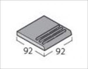 ʪ AKեII  100ѳ 9