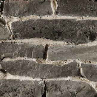 ��������:�����ȷϿ�¤�� �ե�åȥ����� ���졼��(32336RCA)