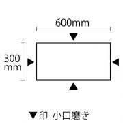  SG١奸åȥСʡ 300600 4᤭ (36014XRO)