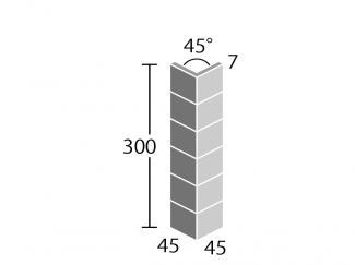 �֥��ɥ�����:��ʪ������ �ץ饤��ѥץꥫ 50mm��90��� ɽ�̻�Ž�� 64(40252KWA)