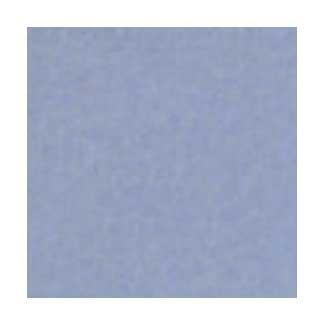  ץ饤ѥץꥫ 100mmѥ˥å ɽ̻Ž 62(40277KWA)