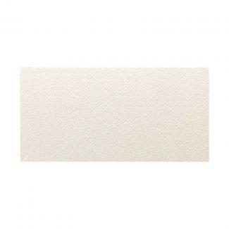 �֥��ɥ�����:�������� �������ӥ� 600��300mm�� 100(40499KWA)