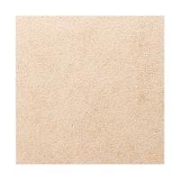 �������� �ץ饷���� 300mm�� 4 (40711KWA)