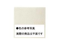 ʪ ڥå 300100mmѿճ ʿ 11 (41017KWA)