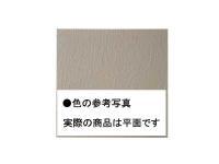 ʪ ڥå 300100mmѿճ ʿ 12 (41018KWA)