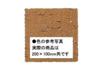 ʪ  200100mmѿճ 13 (41374KWA)