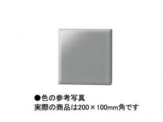 �֥��ɥ�����:�Ἴ������ �������� 200��100mm�� 13(41449KWA)