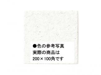 �֥��ɥ�����:�������� ������ 200��100mm�� 1(41639KWA)