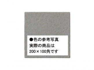 �֥��ɥ�����:�������� ������ 200��100mm�� 13(41641KWA)