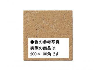 �֥��ɥ�����:�������� ������ 200��100mm�� 22(41644KWA)