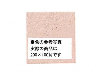 �֥��ɥ�����:�������� ������ 200��100mm�� 17(41647KWA)