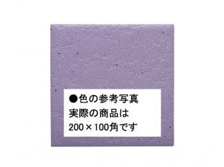 �֥��ɥ�����:�������� ������ 200��100mm�� 33(41651KWA)