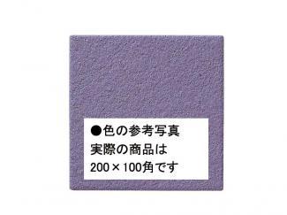�֥��ɥ�����:�������� ������ 200��100mm�� 24(41652KWA)