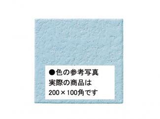 �֥��ɥ�����:�������� ������ 200��100mm�� 19(41653KWA)
