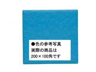 �֥��ɥ�����:�������� ������ 200��100mm�� 31(41654KWA)