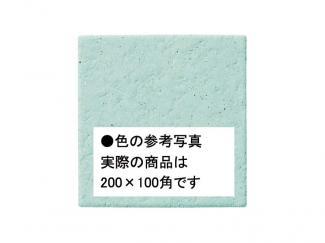 �֥��ɥ�����:�������� ������ 200��100mm�� 20(41657KWA)