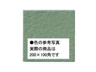 �֥��ɥ�����:�������� ������ 200��100mm�� 26(41661KWA)