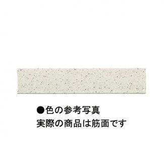 �֥��ɥ�����:���ɥ����� ���ơ��֥�ܡ����� 195��40�ѥܡ����� ����ʿ 1(41986KWA)