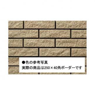 �֥��ɥ�����:���ɥ����� ���饷�� 250��40��ʿ 60(42861KWA)