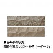 ɥ 쥤 20040ʿ 100T (43065KWA)