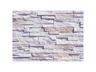 �к�:�����ȷϿ�¤�� ������å� �����å���å����ȡ��� �ե�åȥ����� SLS-120(43529AWC)